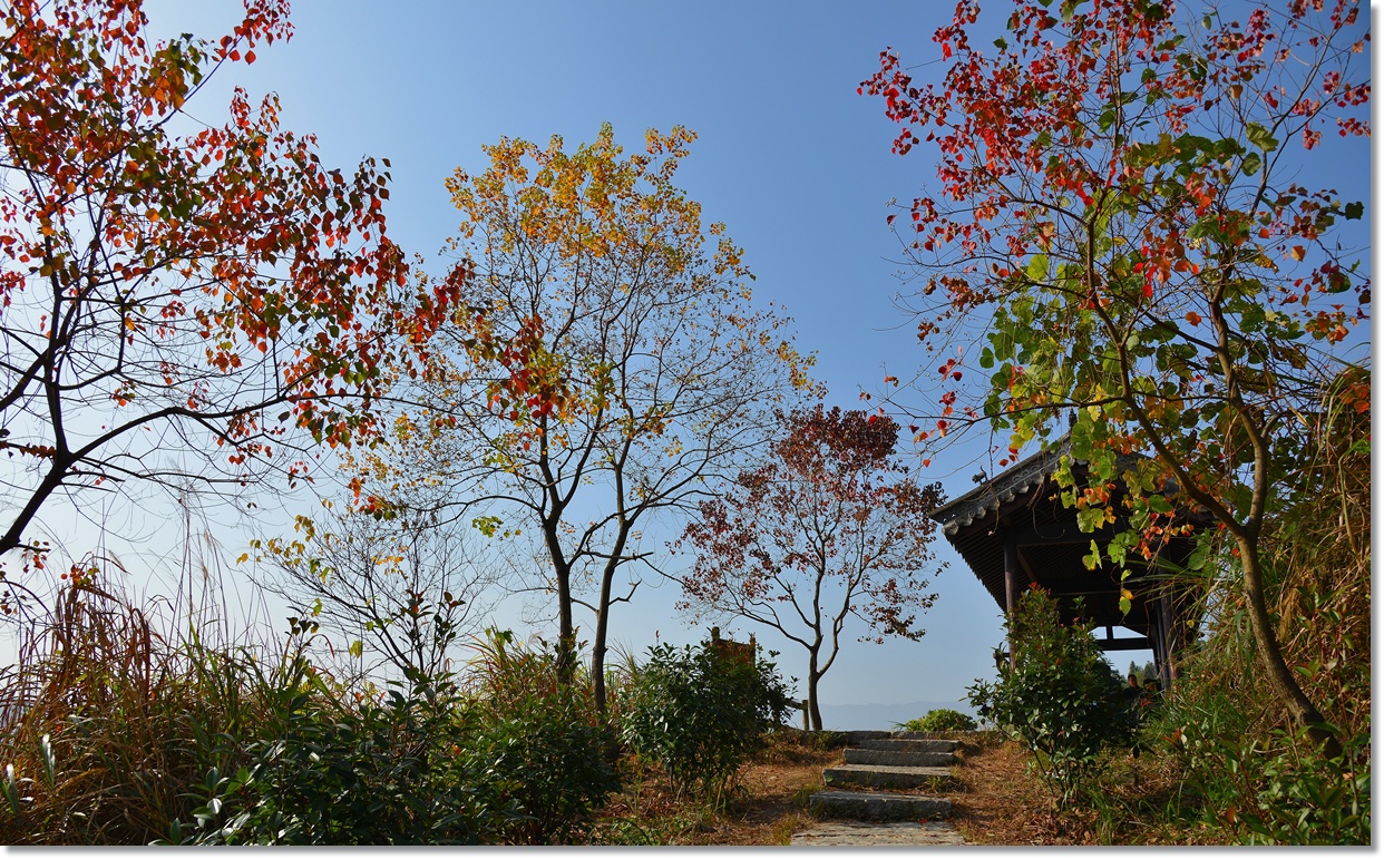 廊坊全力建設農業農村現代化強市