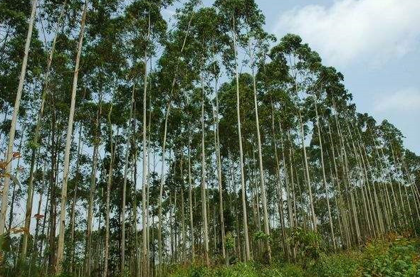 不為一個不銹鋼洗臉盆折腰 家電“以舊換新”試試新玩法